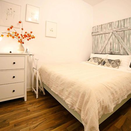 Jasmine Serenity Apartment - Central, Behind Black Church Braşov Esterno foto